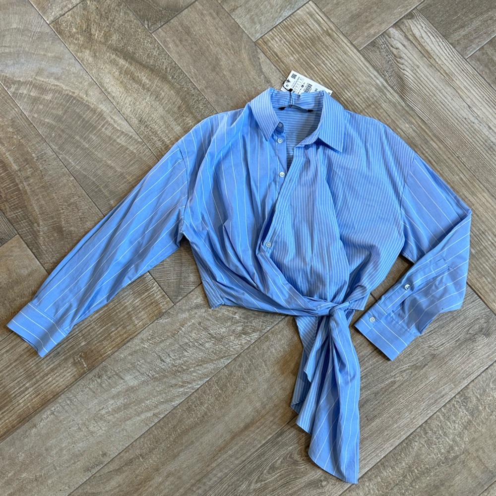 Zara Pinstripe Button Down